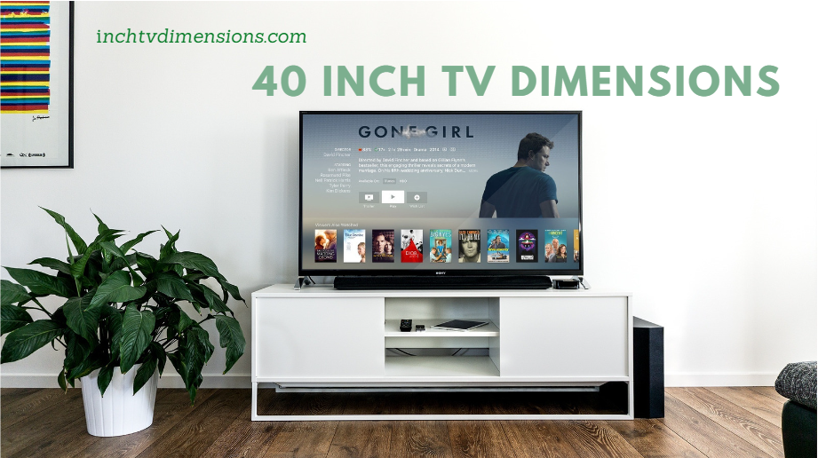 40 Inch TV Dimensions