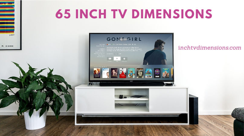 65 Inch TV Dimensions