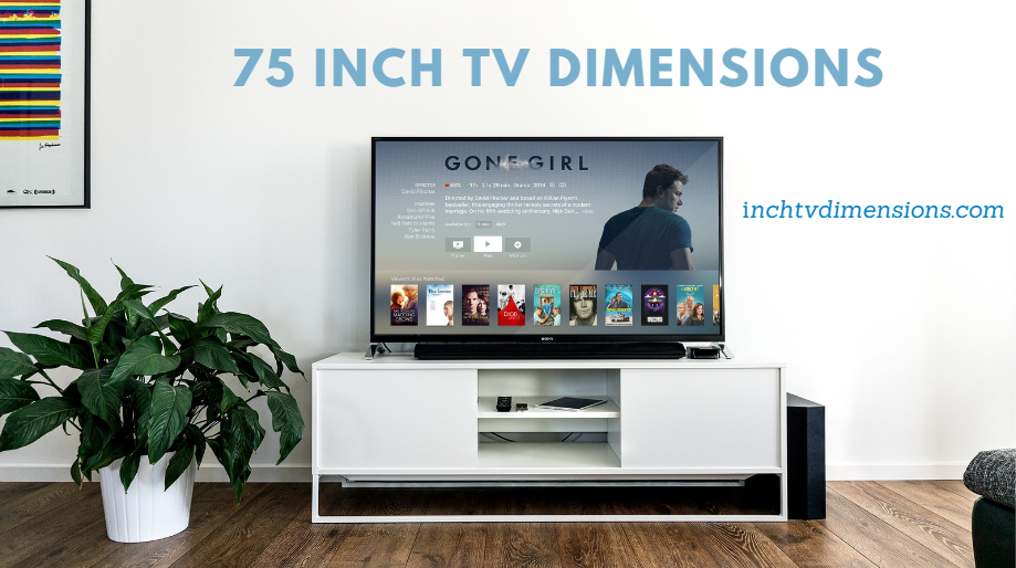 75 Inch TV Dimensions